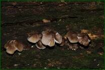 0_f156e_b175c69f_orig.jpg