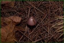 0_f13ec_6b577e26_orig.jpg