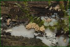 0_fc848_fd430831_orig.jpg