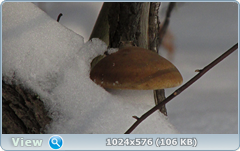 0_120957_432407bc_orig.png