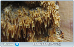 0_115e7c_d2aa8008_orig.png