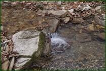 0_f1560_92b820b3_orig.jpg