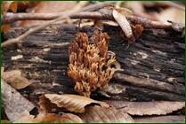 0_f1576_d36f0e08_orig.jpg
