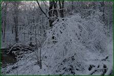 0_f1856_dce1d681_orig.jpg