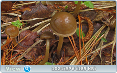 0_127686_bab502f1_orig.png