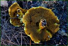 0_f1438_3d19222c_orig.jpg