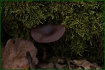 0_f15a6_52b72749_orig.jpg