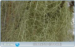 0_116244_a8bea52f_orig.png