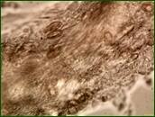 0_efcc7_c3d831d0_orig.jpg