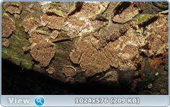 0_11cd1c_44419108_orig.png