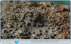 0_11d434_a17a87ea_orig.png