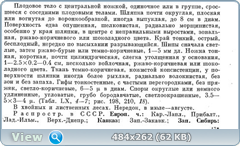 0_123a03_b5a7fab0_orig.png