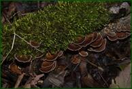 0_f16b9_6862a0d8_orig.jpg
