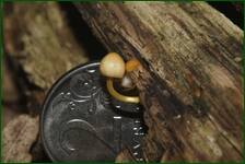 0_fc816_854e7d07_orig.jpg