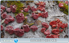 0_124525_ce931278_orig.png
