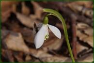 0_f489d_2c376691_orig.jpg