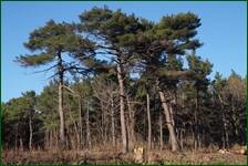 0_f1440_4805804f_orig.jpg