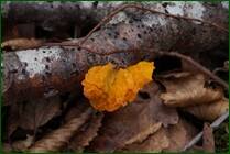 0_f1596_d288cba3_orig.jpg