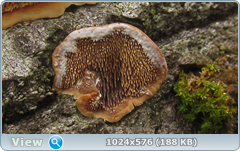 0_127723_ecc27181_orig.png