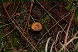 0_f21cb_d31ed776_orig.jpg