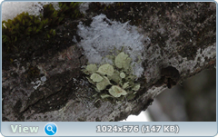 0_120971_475934ac_orig.png