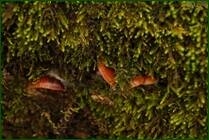 0_f157a_1cfdd08d_orig.jpg