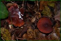 0_f07eb_102388e2_orig.jpg