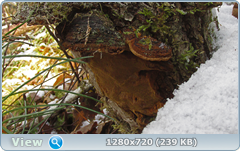 0_115869_dc8d74e8_orig.png