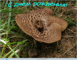 0_123fac_f64a8ce_orig.png