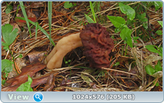 0_127655_5c7caf4b_orig.png
