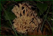 0_f0767_eb302042_orig.jpg