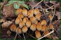 0_f1675_13ea55e9_orig.jpg