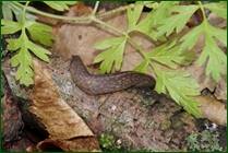 0_f1564_b1927041_orig.jpg
