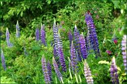0_144383_d94d229d_orig.jpg