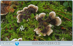 0_12ab89_a91415d5_orig.png