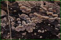 0_f1693_d4b3ca21_orig.jpg