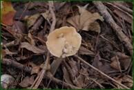 0_f1699_b9500d0e_orig.jpg