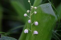 0_14439a_95e8c744_orig.jpg