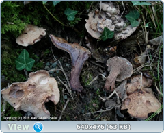 0_11b619_2b3abc2e_orig.png