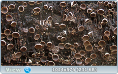 0_1260f2_122eb25e_orig.png