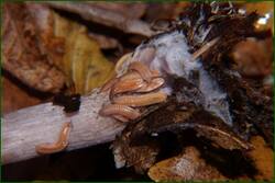 0_f0839_397b0675_orig.jpg