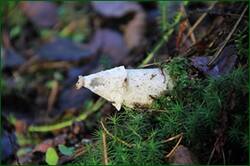 0_1341c8_993ee028_orig.jpg