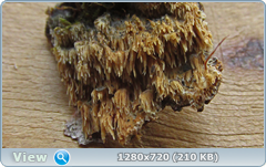 0_115e78_8de12931_orig.png