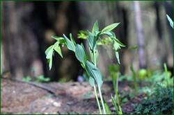 0_14096a_d3f479f_orig.jpg