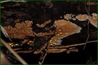 0_f16b5_966429ca_orig.jpg