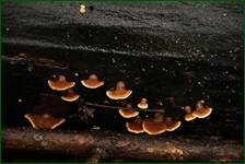 0_f1ea5_5a4db530_orig.jpg