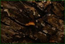 0_f29a0_8bc2b059_orig.jpg