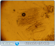 0_11e508_9d80a666_orig.png