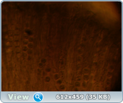 0_11e50a_eedc727a_orig.png