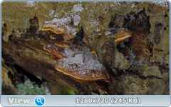 0_1158dd_4d7c387c_orig.png